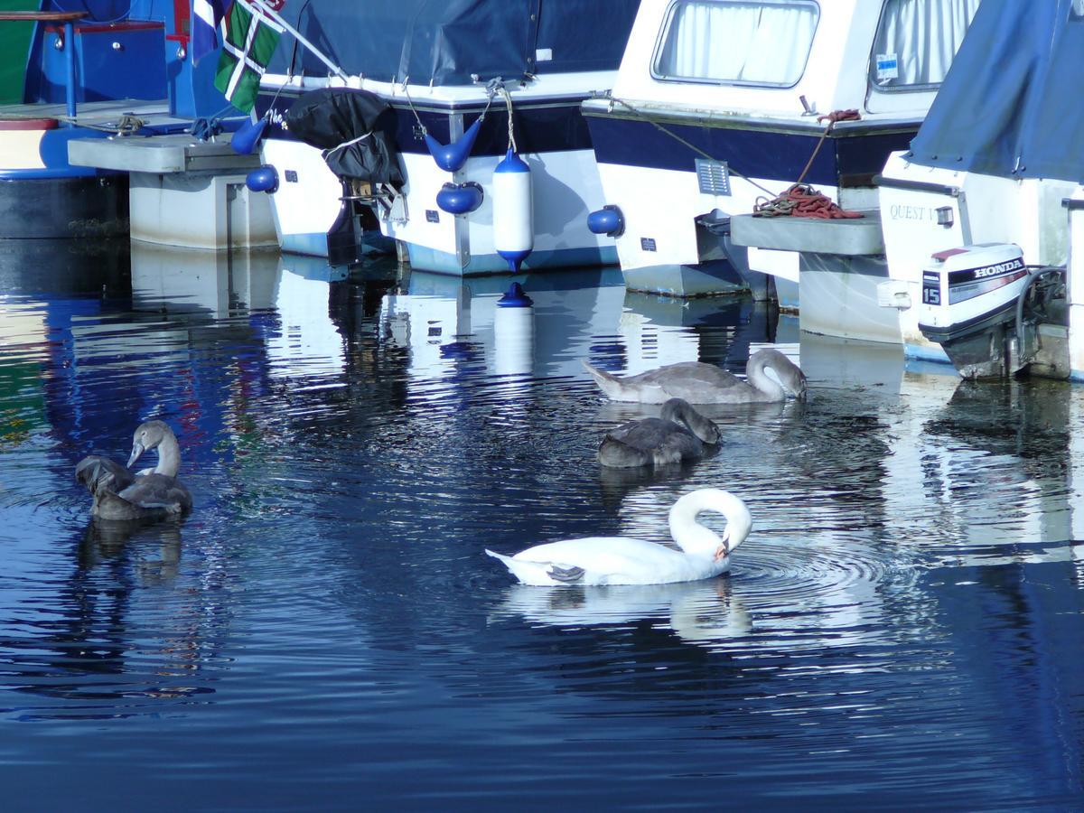 The Boat House Otel Kilsyth Dış mekan fotoğraf